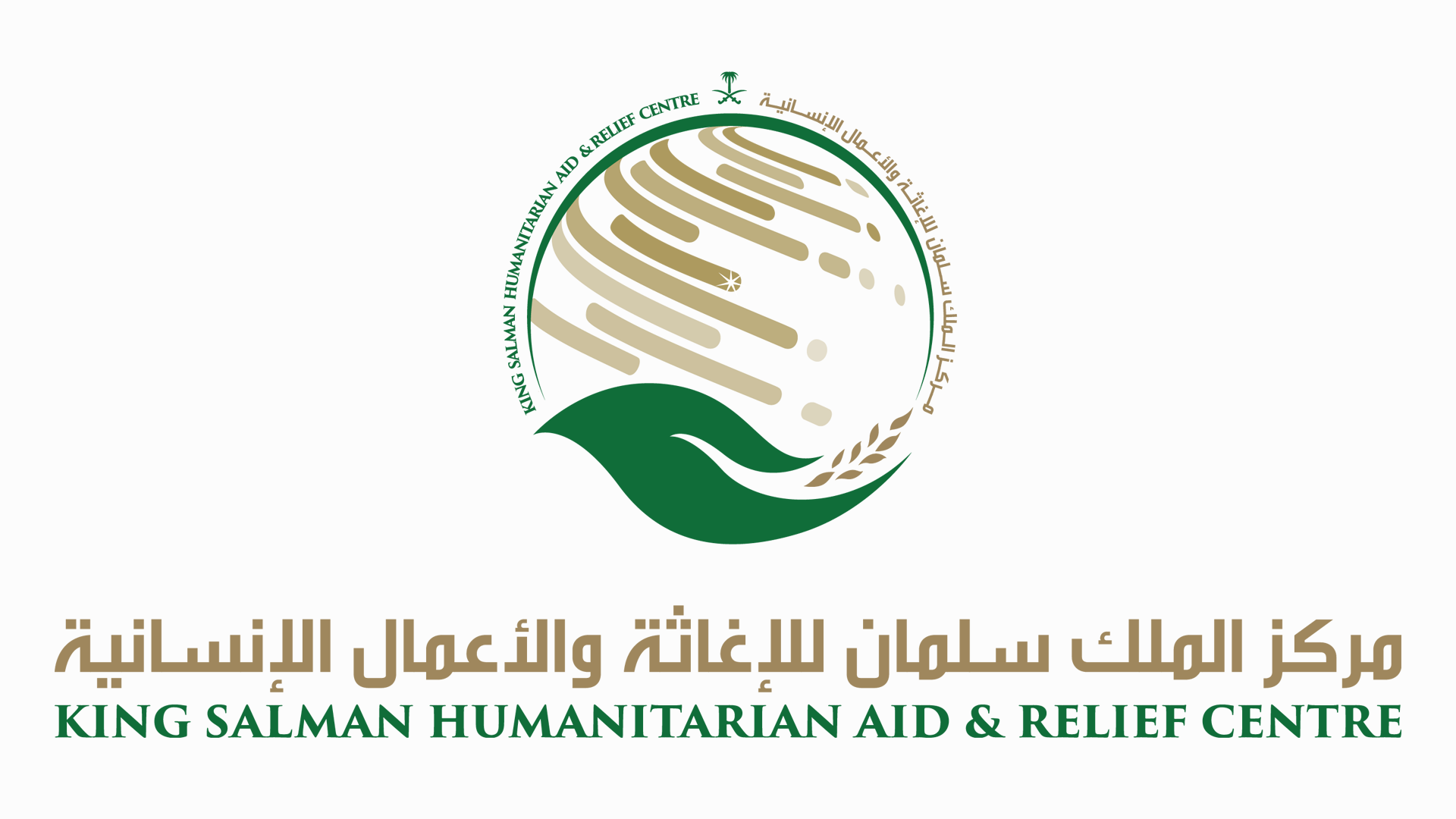 ٥٣